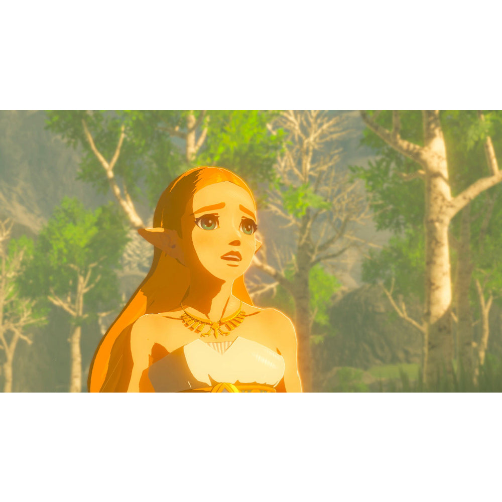 The Legend of Zelda: Breath of The Wild - Nintendo Switch (Region Free)
